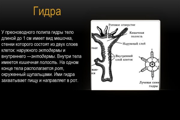 Kraken это