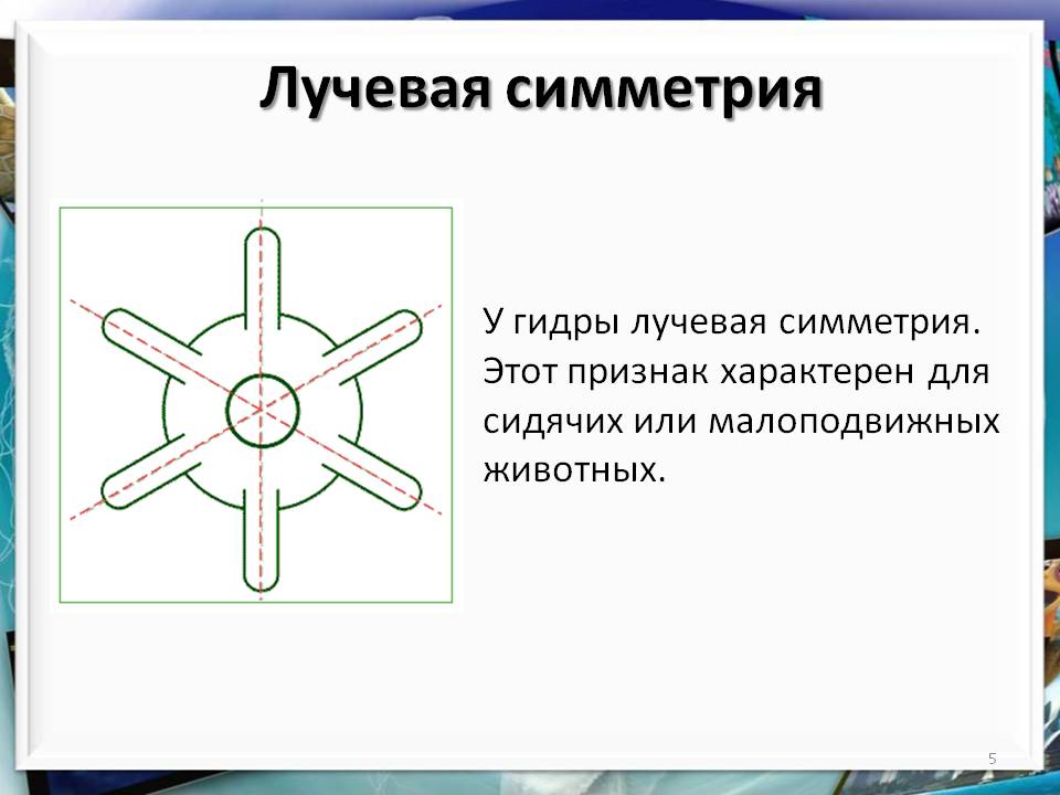 Даркмаркет кракен