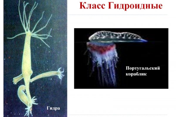 Как зайти на kraken маркетплейс
