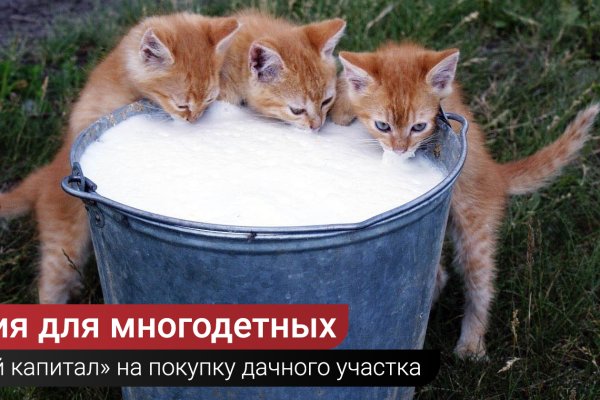 Кракен это даркнет